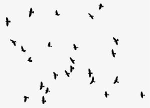 Aves Vector Png - Bird