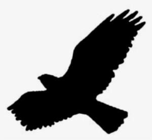 Como Brushes Para Photoscape Desde Aquí Mismo, Con - Birds