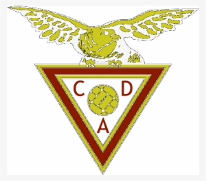 Report - Aves Desportivo