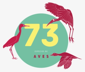 Como Resultado De Los Bioconteos Se Han Registrado - Mexico