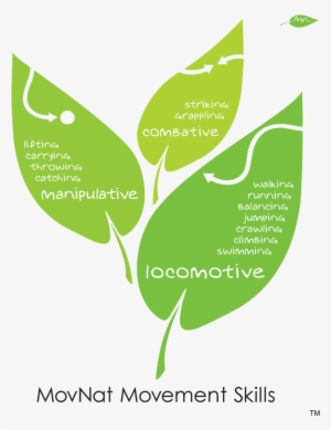 Categories Skills 01 - Movnat Movements