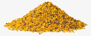 Pollen Is Considered As One Of The Most Nutritious - Nutrisslim Bio Bee Pollen Powder 125 G
