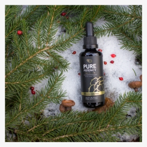 Pine Pollen Pure Potency Pine Pollen Pure Potency