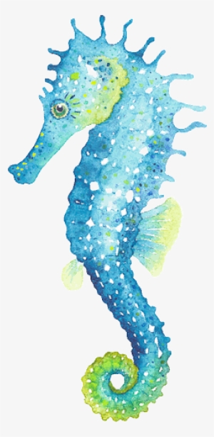 A Seahorse - Seahorse Illustration
