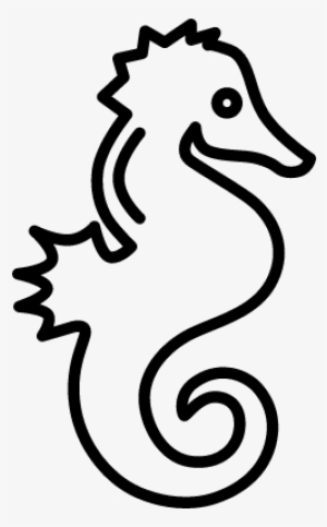 Sea Horse Vector - Seahorse