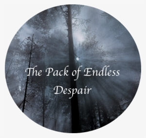 Foggy-forest - Forest Fire