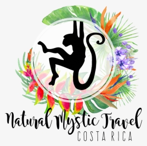 Natural Mystic Travel - Infinite Number Of Monkeys: A Guide