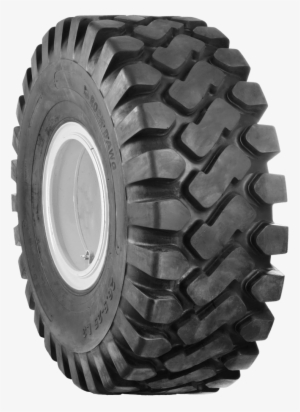 Rock Dawg - Duro Di 2012