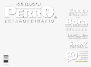 Se Busca Perro Extraordinario No - Dog