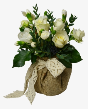 Rustic Flower Shop Studio Flores - White Roses In Vase