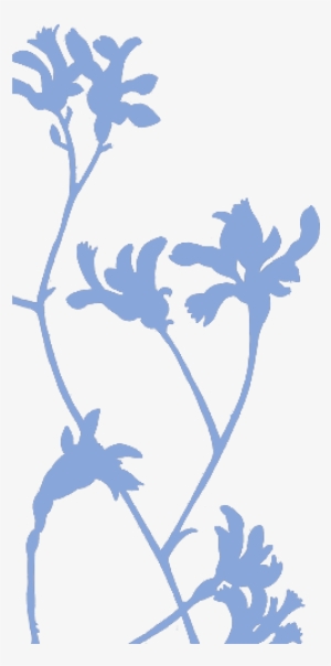 Subscribe - New South Wales