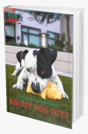 Do You Want To Know Which Dog Toy Is Best Suited For - Pasto Natural Pasto Sintetico