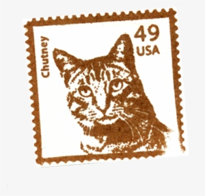 Or Choose A Ready-made Stamp - Cat