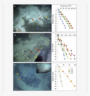 Temperature Profiles Measured With The Alvin Heat Flow - Temperature
