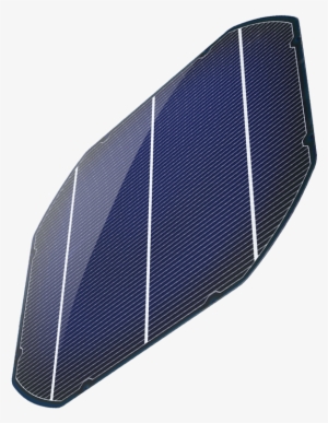 Let's Change The World - Net