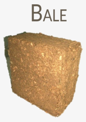 Accessibility Statement - Igneous Rock