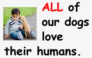 Love Humans