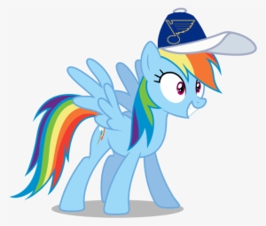 Rainbow Dash Images Rainbow Dash Wearing A St - Friendship Is Magic Rainbow Dash
