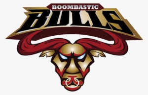 Logo For Cricket Team