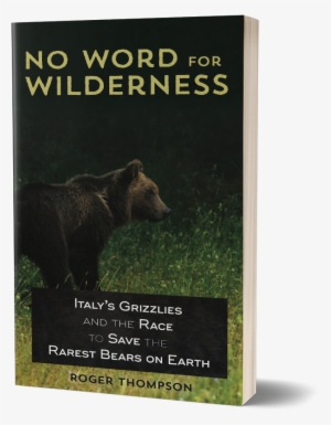 Cover Of No Word For Wilderness