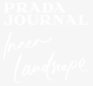 Language - Luna Rossa Challenge