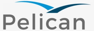 Pelican Ai