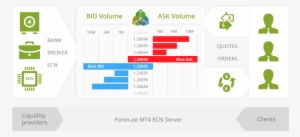 Open An Ecn/stp Account With Forexee - Ecn Account