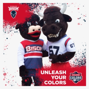 Show The World On - 8 Howard Hu Bison Regulation Corn Filled Cornhole Bags