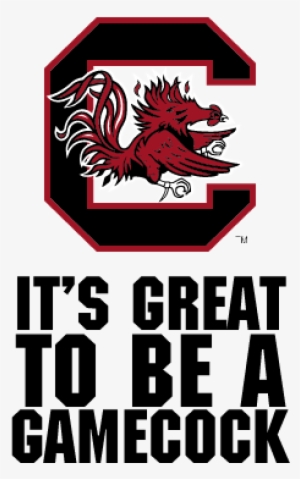 South Carolina Women's Basketball Logo