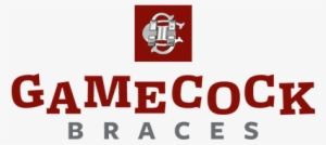 South Carolina Gamecock Home Image - Clemson Braces