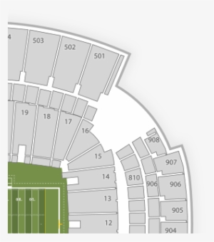 University Of South Carolina