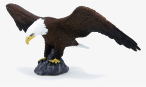 American Bald Eagle - Mojo American Bald Eagle