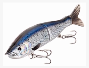 Download - Bass Pro Boss Glide