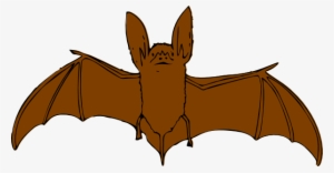 Brown Bat Svg Clip Arts 600 X 312 Px