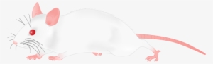 Ill Png, White Mouse - Clip Art