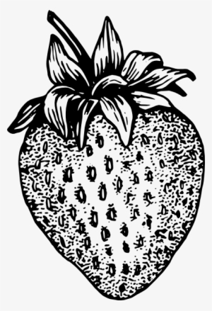 Simple Strawberry Svg Clip Arts 408 X 598 Px