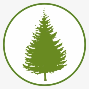 How To Set Use Forest/circle Svg Vector