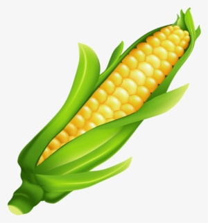 Ear Of Corn Clipart - Mazorca De Maiz Png