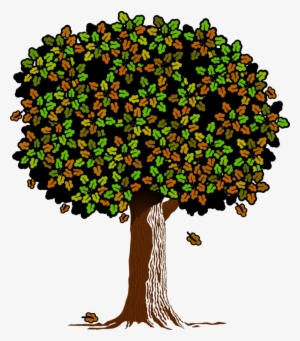 All Photo Png Clipart - Clip Art