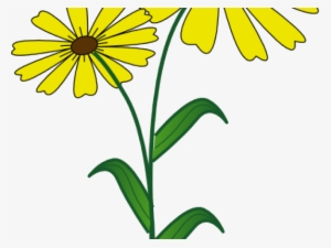 Daisy Clipart Flowering Plant - Clip Art