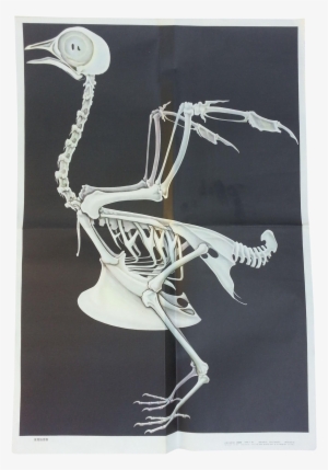 This Slightly Spooky, Oddly Charming Graphic Poster - Creative Arts