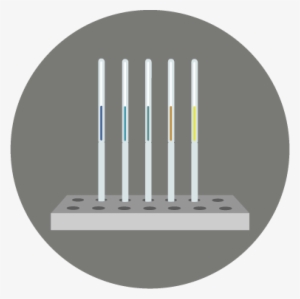 Avantium's Business Units - Picket Fence
