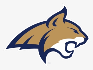 Story Links - Bobcats Montana State Football
