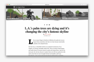 Palm Trees Topper - Los Angeles