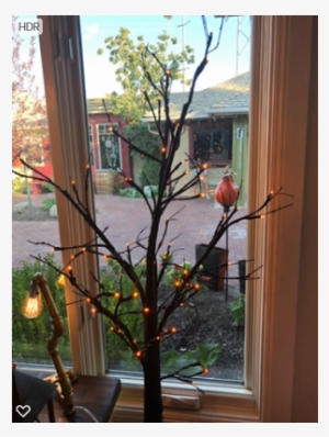 6ft Lighted Spooky Tree - Tree