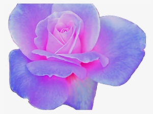 Rose Clipart Aesthetic - Pink And Purple Aesthetic Png