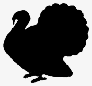 Photo - Turkey Bird Png