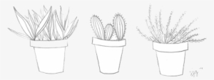 Plants, Cactus, And Drawing Image - House Plant Drawing Transparent