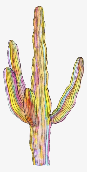 Cactus Wallpaper Tumblr - Transparent Cacti