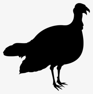 Download Png - Turkey Meat
